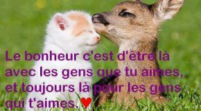 Très belles photographies d’animaux pleines d’humour