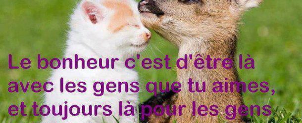 Très belles photographies d&rsquo;animaux pleines d&rsquo;humour