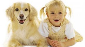 Drôles de ressemblances entre humains et chiens et chats!