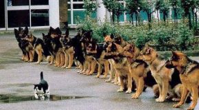 Des photos choisies pour une raison trop évidente! Insolites!