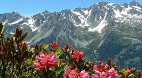 Douze photos de lieux, il faut trouver où ils se trouvent!