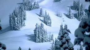 La neige, mais aussi la chanson de Salvatore Adamo « Tombe la Neige »