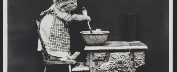 Les chats de 1915 dans des clichés en noir et blanc et des mises en scène
