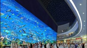 Les centres commerciaux les plus incroyables au monde