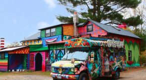 Une maison incroyablement décorée au milieu de la forêt!