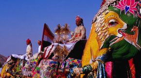 Des éléphants peints et décorés pour le festival de Jaipur en Inde, c&rsquo;est incroyable!