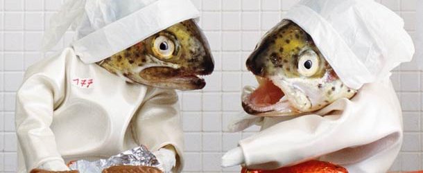 Les poissons mis en scène par l’artiste-photographe Française Anne Catherine Becker Echivard