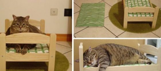 Des lits pour chats, chiens et lapins, faits sur mesure. Ces animaux  de compagnie ont tout ce qu&rsquo;il leur faut!