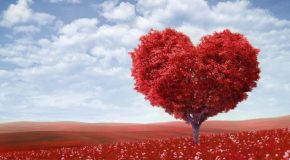 L&rsquo;amour avec tout ce qu&rsquo;il a de beau, mais aussi de triste, de solitaire