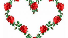 Le cœur peut être une fleur qui fait plaisir à voir, à découvrir pour comprendre