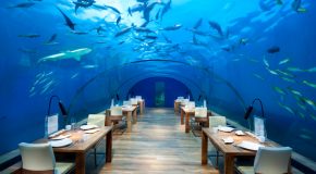 Les meilleurs restaurants au monde, avec des vues intérieures et extérieures!