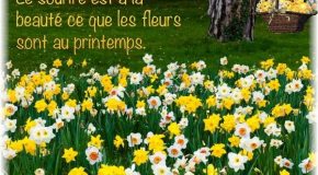 Le printemps est là, la nature est belle, la musique commence!