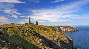 Les Côtes-d&rsquo;Armor en France avec ses paysages et ses oiseaux
