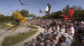Belle découverte de l&rsquo;adorable parc des oiseaux de Villars-les-Dombes en France