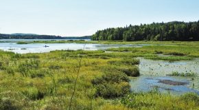 Les Marais-du-Nord, une réserve naturelle au Québec au Canada