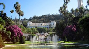 A la découverte du plus beau jardin d’Afrique, le jardin d’Essai d’Alger!
