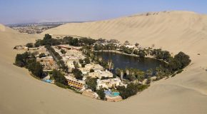 Les oasis, ces endroits insolites et magiques au milieu du désert