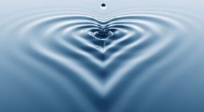 L&rsquo;eau, la source de toute vie dans des clichés en tous genres!