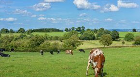 La campagne, la nature, la vie et des paysages à couper le souffle