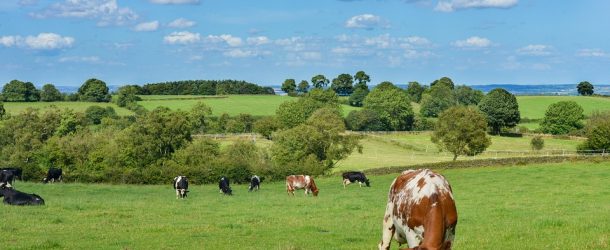 La campagne, la nature, la vie et des paysages à couper le souffle