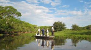 Le Pantanal, un paradis écologique