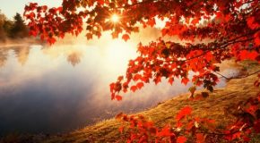 Sublimes paysages d’automne en Argentine