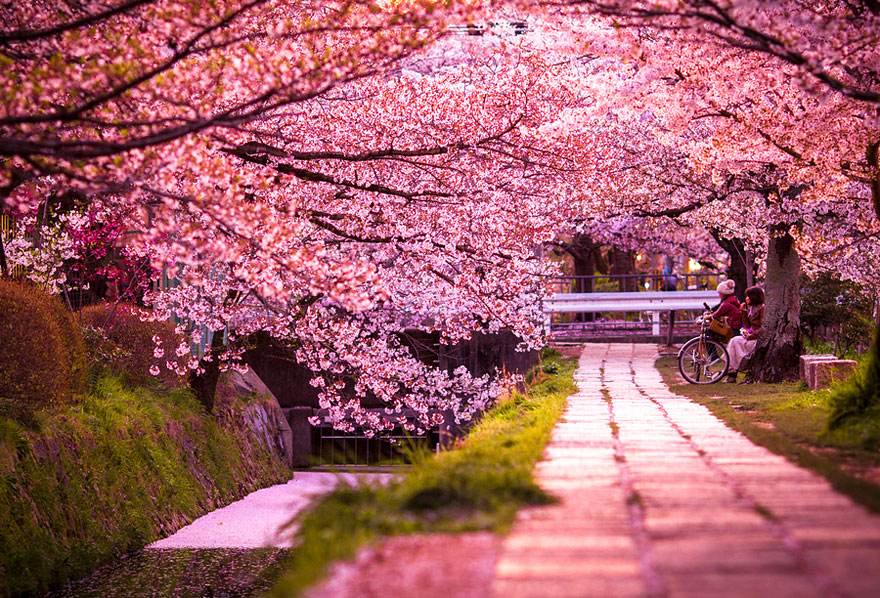 Les Plus Beaux Paysages Du Japon, Le Pays Du Soleil Levant!