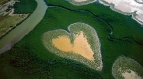 Les plus splendides des paysages avec une musique relaxante