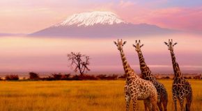 Pays d&rsquo;Afrique dans une présentation-voyage pour rêver