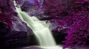 Desireless chante « Voyage Voyage » sur fond de beaux paysages