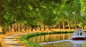 Balade au bord du canal du Midi qui relie Toulouse à la Méditerranée
