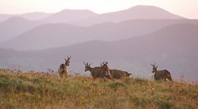 Le Hohneck, troisième sommet du massif des Vosges en France