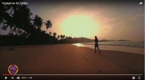 Petit voyage au Sri Lanka, c’est adorable et agréable!