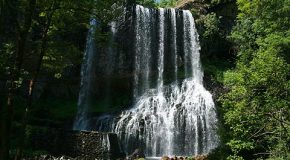 Cascade, lacs, faune et flore de la Haute-Loire en France