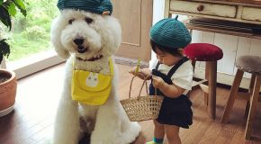 Les plus beaux amis du monde, une fillette et un caniche!