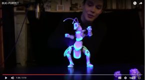 Une marionnette-insecte inspirée des robots et réalisée par un Youtubeur