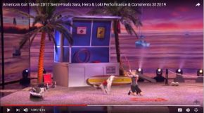 Un trio très complice à l’émission America’s Got Talent 2017
