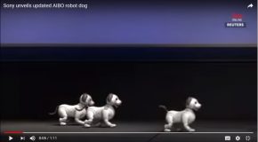 Sony Corp présente Aibo, un robot-chien très intelligent!