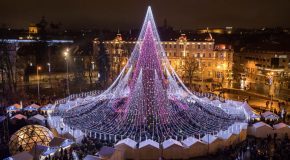 La saison des fêtes officiellement ouverte à Vilnius avec un arbre de 70 000 ampoules