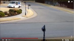 Un livreur tombe de sa camionnette et celle-ci percute un arbre