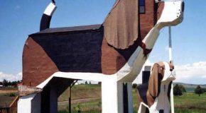 Top 20 des maisons les plus insolites à travers notre planète