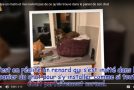 Un renard s’invite chez un chat, une grande surprise pour la maîtresse des lieux