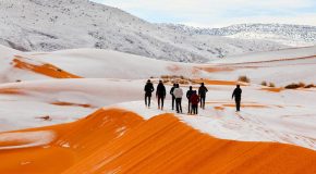De la neige dans le désert Algérien, c’est très rare, un tel phénomène!