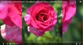 Citations sur l’amour avec de si jolies fleurs