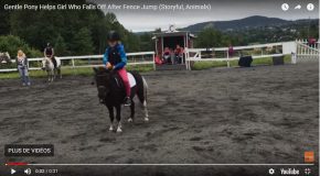 Un poney aide sa jeune maîtresse à tomber en douceur