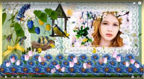 Le bonheur avec un diaporama dédié à la beauté
