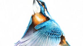 Elle est architecte, mais aussi une artiste qui peint les oiseaux