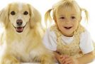 Similitudes entre bébés et chatons, enfants et chiens…
