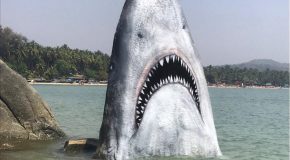Un artiste sculpte un rocher en requin sur une plage en Inde