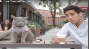 Un peu de magie avec un homme et le chat de son ami